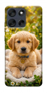 Чохол Small labradore для Motorola Moto G56 5G