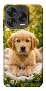 Чохол Small labradore для ZTE Nubia V70 Design