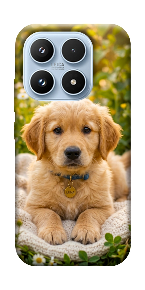 Чехол Small labradore для Xiaomi 17