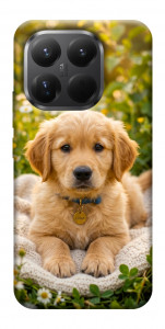 Чехол Small labradore для Xiaomi 15T Pro