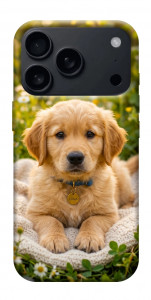 Чехол Small labradore для iPhone 18 Pro