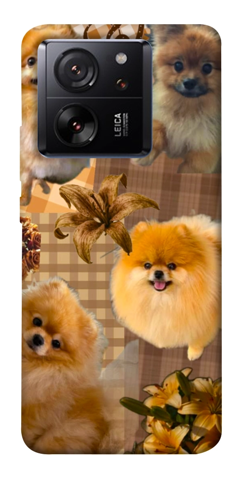 Чехол Spitz aethtetic для Xiaomi 13T