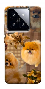 Чохол Spitz aethtetic для Xiaomi 14 Pro