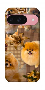 Чохол Spitz aethtetic для Google Pixel 9