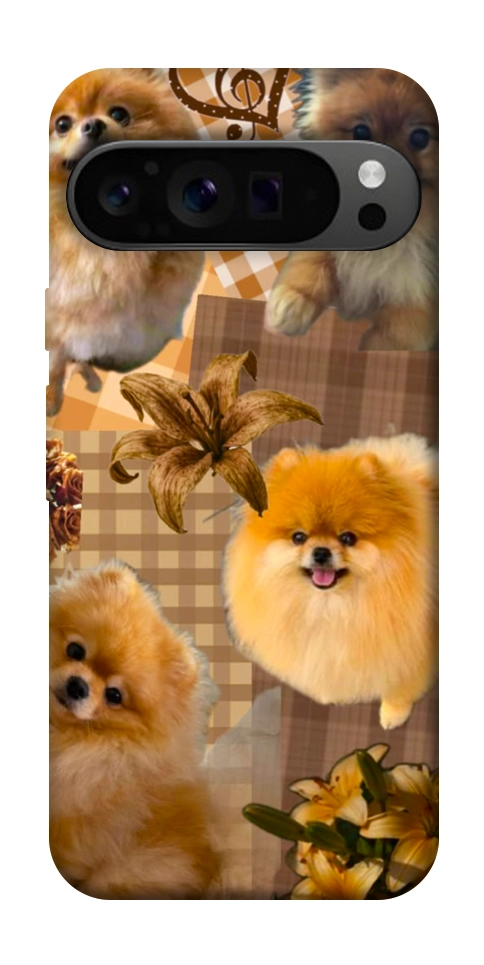 Чохол Spitz aethtetic для Google Pixel 9 Pro