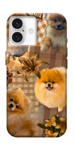 Чохол Spitz aethtetic для iPhone 16
