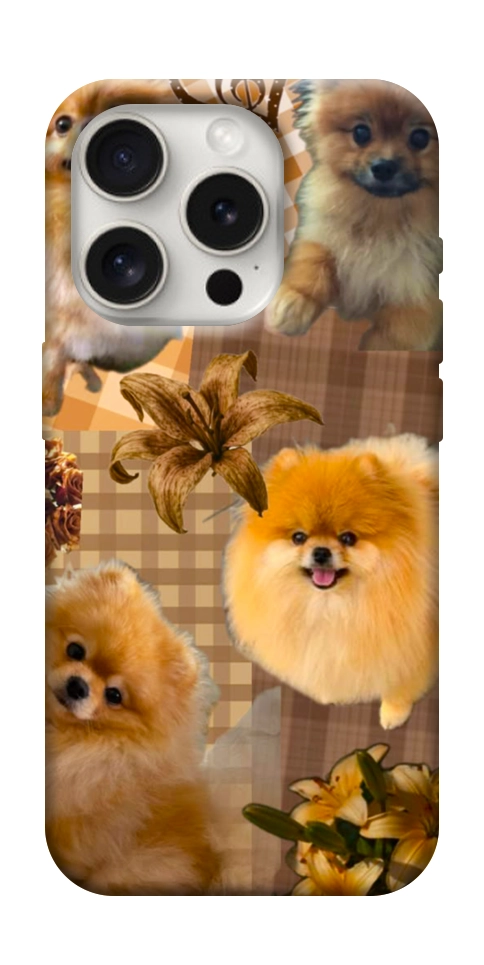 Чохол Spitz aethtetic для iPhone 16 Pro Max