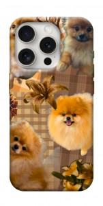 Чохол Spitz aethtetic для iPhone 16 Pro Max