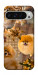 Чехол Spitz aethtetic для Google Pixel 9 Pro XL