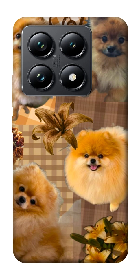 Чехол Spitz aethtetic для Xiaomi 14T Pro