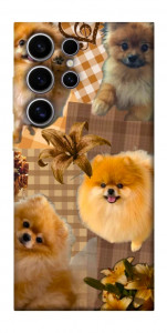 Чехол Spitz aethtetic для Galaxy S25 Ultra
