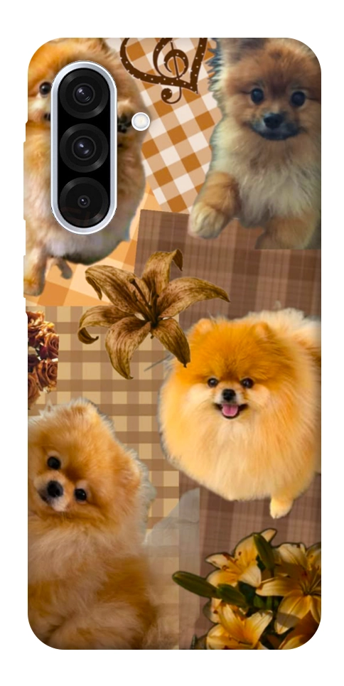 Чохол Spitz aethtetic для Galaxy A56 5G