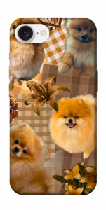 Чохол Spitz aethtetic для iPhone 16e