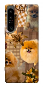 Чехол Spitz aethtetic для Sony Xperia 1 IV