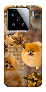 Чехол Spitz aethtetic для Xiaomi 15