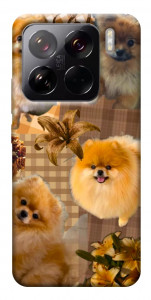 Чехол Spitz aethtetic для Xiaomi 15 Pro