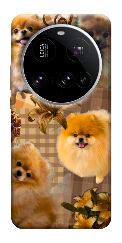 Чехол Spitz aethtetic для Xiaomi 15 Ultra