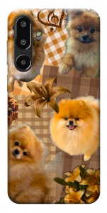 Чохол Spitz aethtetic для Galaxy F16 5G
