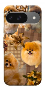 Чехол Spitz aethtetic для Google Pixel 10 Pro