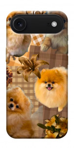 Чехол Spitz aethtetic для iPhone 17 Air