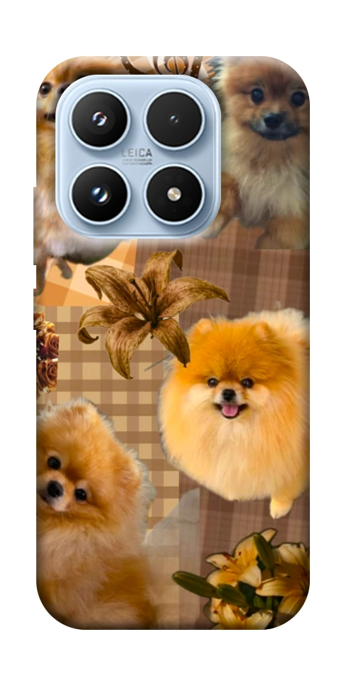 Чехол Spitz aethtetic для Xiaomi 17