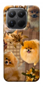 Чехол Spitz aethtetic для Xiaomi 15T Pro