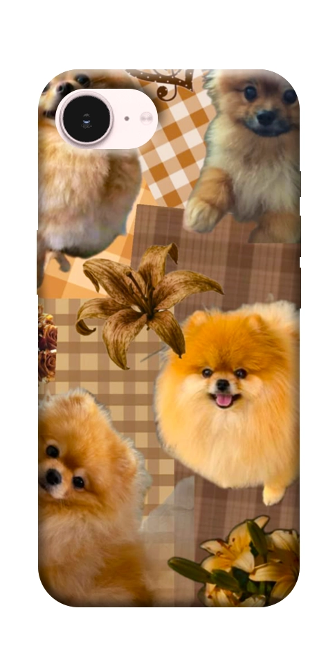 Чехол Spitz aethtetic для iPhone 17e