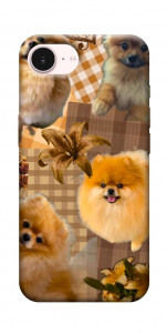 Чехол Spitz aethtetic для iPhone 17e