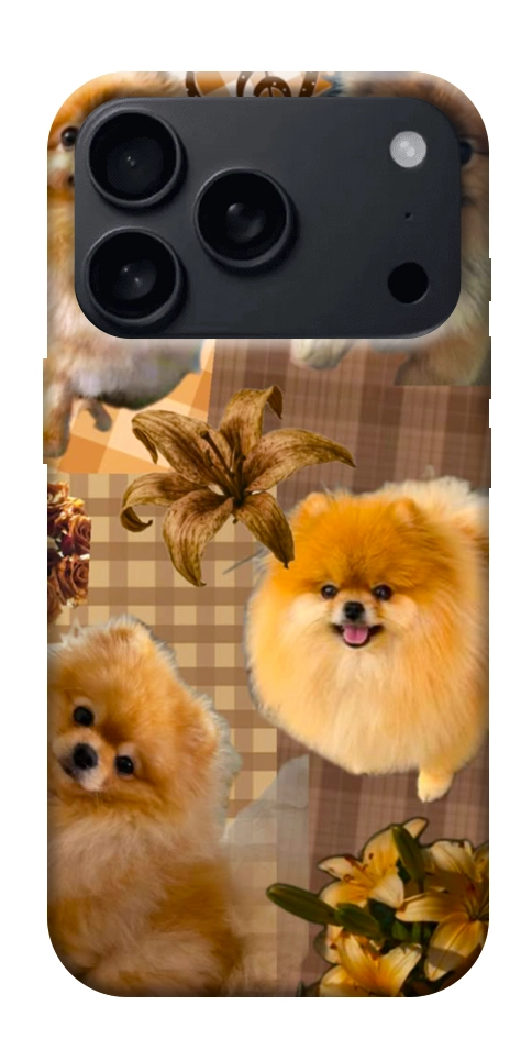 Чехол Spitz aethtetic для iPhone 18 Pro