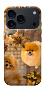 Чехол Spitz aethtetic для iPhone 18 Pro