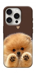 Чехол Spitz on the screen для iPhone 16 Pro