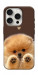 Чохол Spitz on the screen для iPhone 16 Pro Max