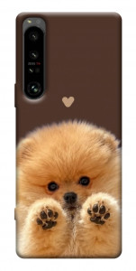 Чехол Spitz on the screen для Sony Xperia 1 IV