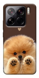 Чехол Spitz on the screen для Xiaomi 15 Pro