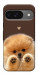 Чехол Spitz on the screen для Google Pixel 10 Pro