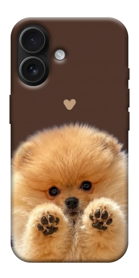 Чехол Spitz on the screen для iPhone 17