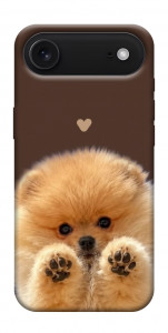 Чехол Spitz on the screen для iPhone 17 Air