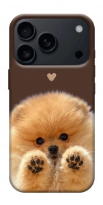 Чехол Spitz on the screen для iPhone 18 Pro