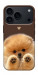 Чехол Spitz on the screen для iPhone 18 Pro