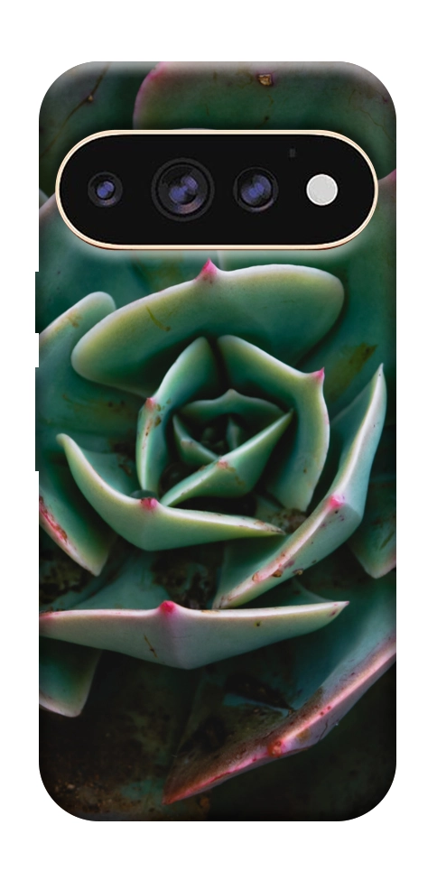 Чехол Эхеверия для Google Pixel 11 Pro XL