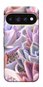 Чехол Эхеверия 2 для Google Pixel 11 Pro XL