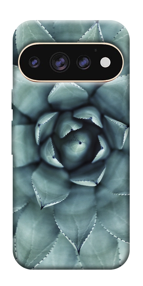 Чехол Суккуленты для Google Pixel 11 Pro XL