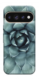 Чехол Суккуленты для Google Pixel 11 Pro XL