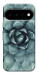 Чехол Суккуленты для Google Pixel 11