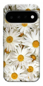 Чохол Chamomile для Google Pixel 11 Pro