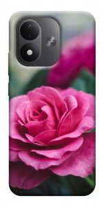 Чохол Троянда у саду для Xiaomi Redmi Note 17