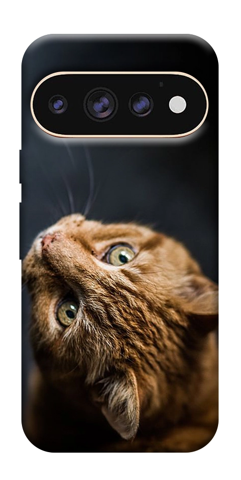 Чехол Рыжий кот для Google Pixel 11 Pro XL