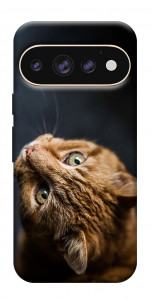 Чехол Рыжий кот для Google Pixel 11 Pro XL