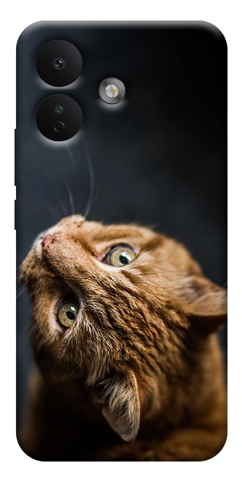 Чехол Рыжий кот для Xiaomi Redmi Note 17 Pro