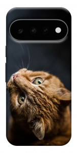 Чехол Рыжий кот для Google Pixel 11
